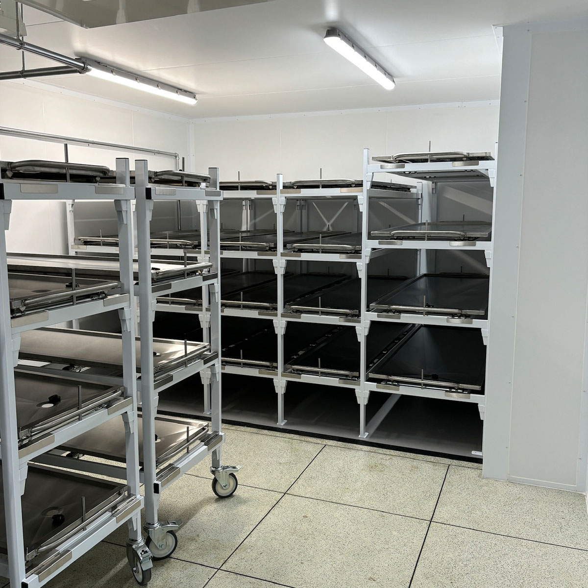 Mortuary coldroom with racks and trays